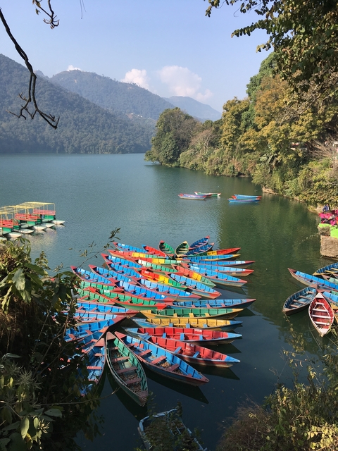       Colorful boats on a serene lake
  