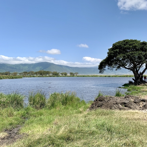 Serene lake with hills in the background and clear skies.