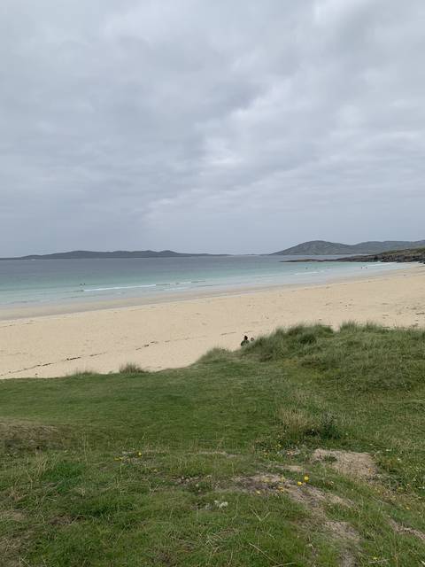 Upside-down sandy beach with grass and water.