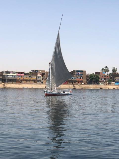       Boat with a sail navigating a river with a distant city.
  