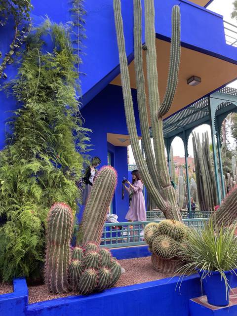 Cactus garden with a blue building and people in traditional attire.