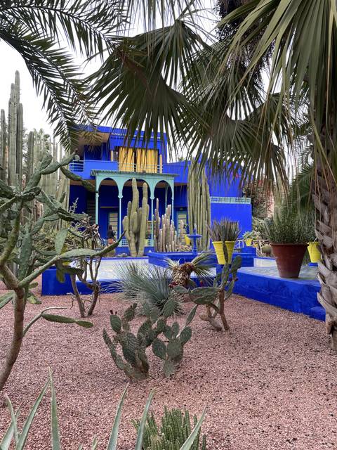       Garden path leading to a blue and yellow building with cacti.
  