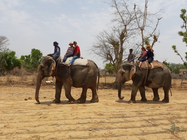 Elephant riding experience with multiple people on elephants.
