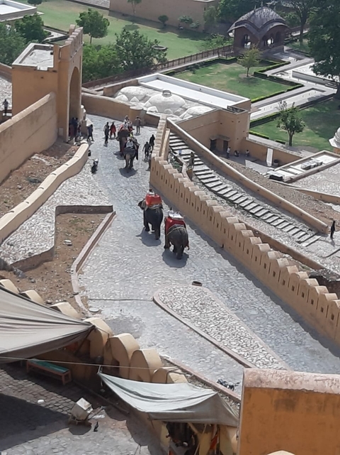 Klantbeoordelingsfoto van Verbazingwekkende Gouden Driehoek 