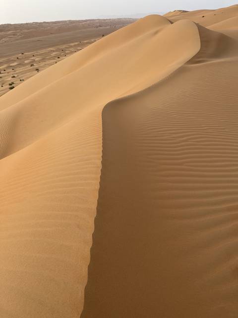       Expansive view of sand dunes in a desert landscape.
  