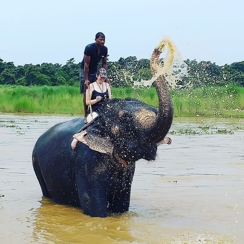 foto de reseña de cliente de Chitwan Jungle Package circuito - 3 noches 4 días 