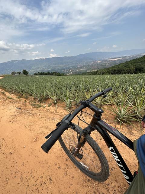 Bicycle leaning against a field with a view of distant hills.