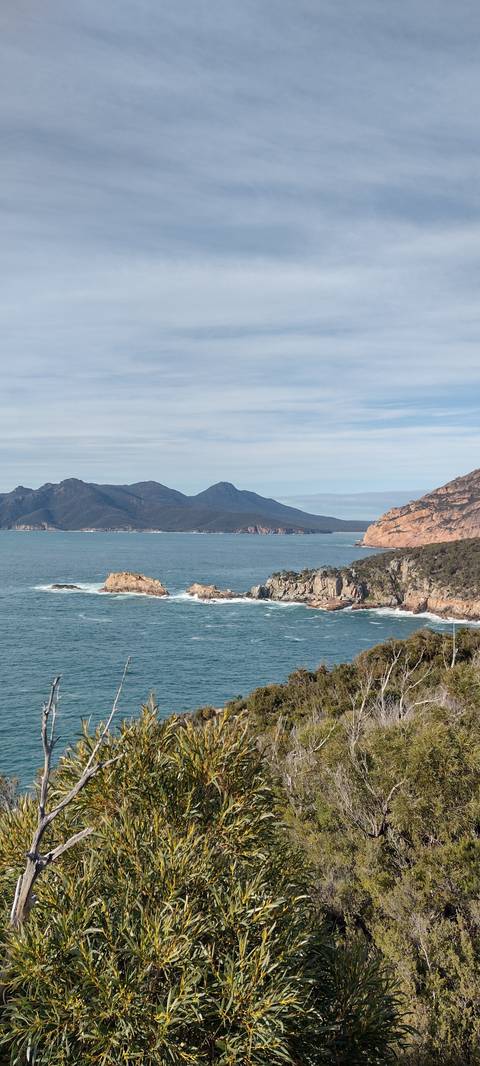 Ocean view framed by greenery.