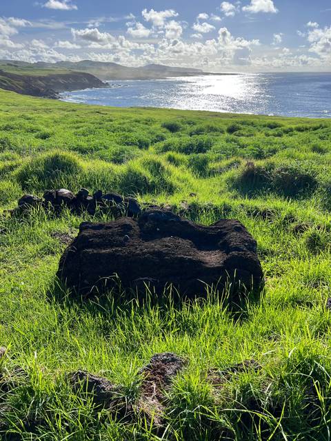 A toppled Moai statue on a grassy hillside with the ocean in the background.