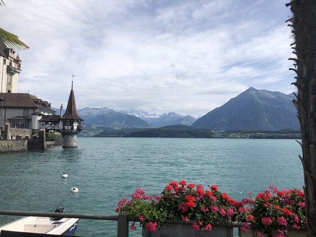 Scenic lake with flowers and mountain views.