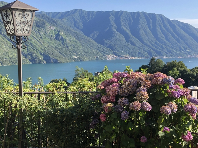 Lake view with colorful flowers and mountain backdrop.