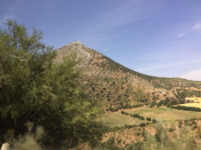      Landscape of a hillside with sparse vegetation.
  