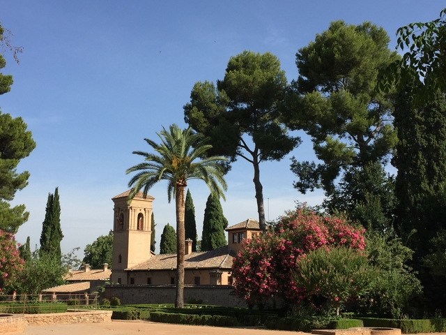 Scenic view of trees and historical architecture.