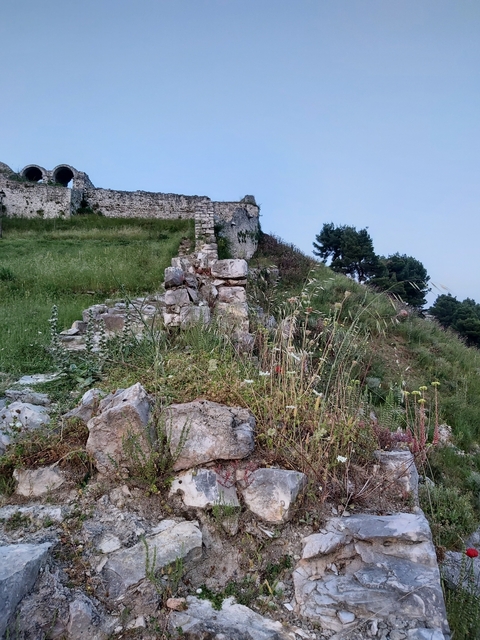Ruins on a grassy hill with wildflowers.