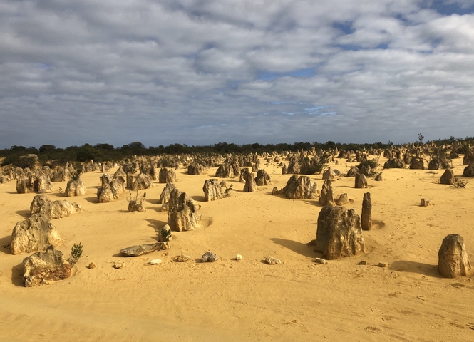 Desert landscape with unique limestone formations under a cloudy sky.