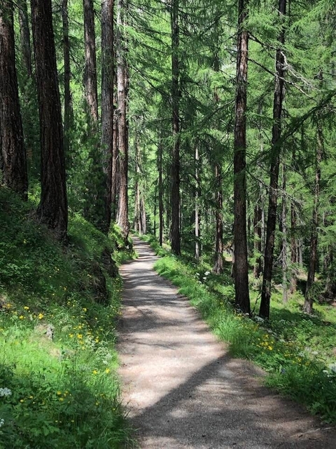       Photo d'avis client sur Routes de campagne de Suisse (petits groupes) 
  