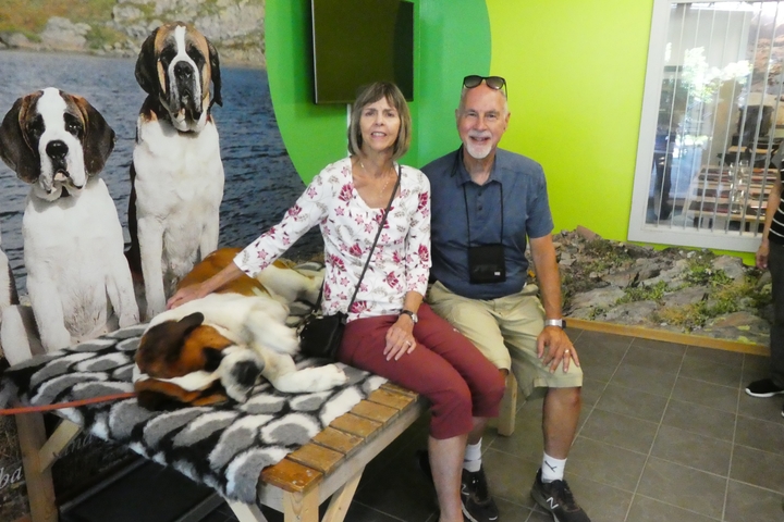 A couple sitting indoors with two large St. Bernard dogs.