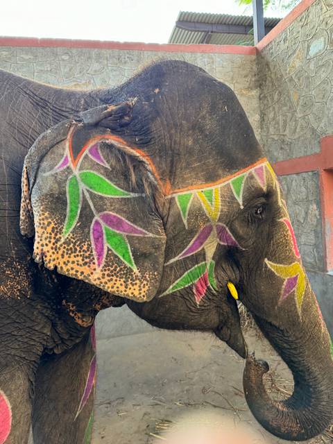 An elephant painted with colorful designs.