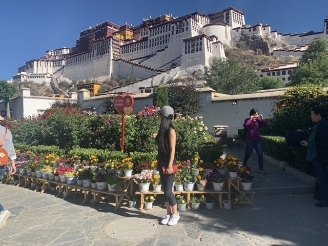       9 Days Lhasa Gyantse Shigatse Everest Namtso Group Tour customer review photo 
  