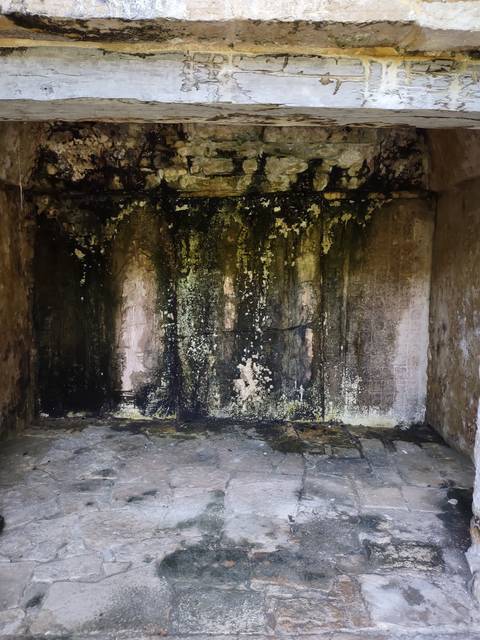       Stone wall with weathered and mossy details.
  