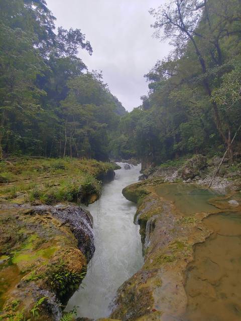       River waterfall surrounded by dense forest.
  