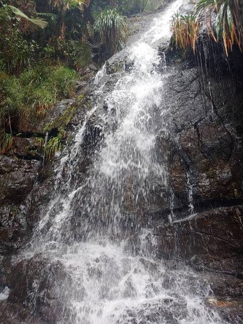       Close-up of a waterfall on rocky surface.
  
