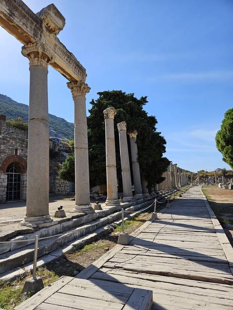       Ancient ruins with a tree and blue sky.
  