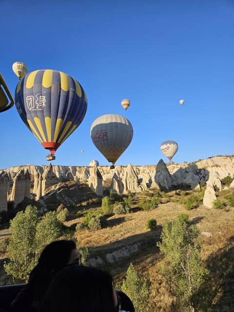       Several hot air balloons in flight.
  