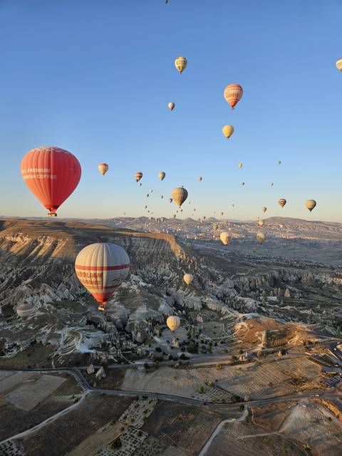       Hot air balloons over a scenic landscape.
  