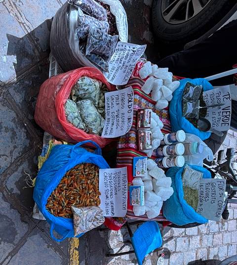       Group of people riding a painted elephant.
  