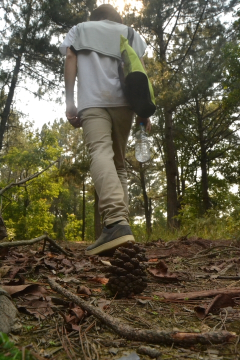 Close-up of a person walking through a forest carrying a bottle.