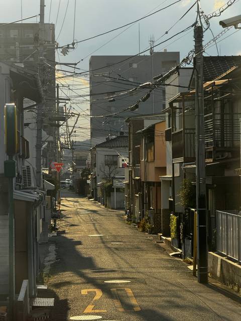 A quiet street in an urban residential area.
