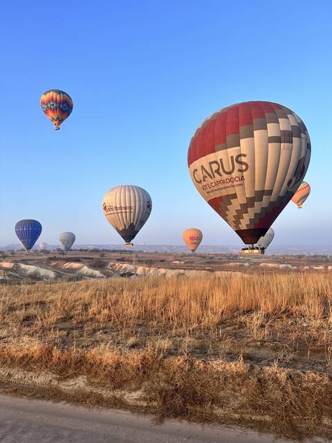       Hot air balloons flying over a landscape.
  