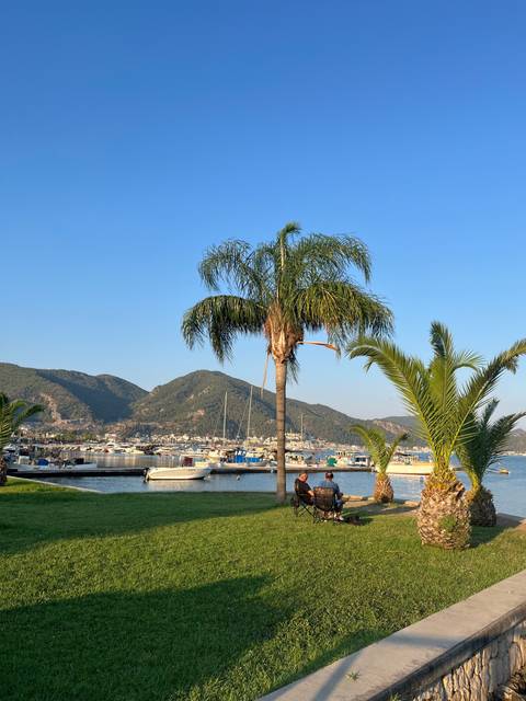       Palm trees and boats by a waterfront area with mountains in the background.
  