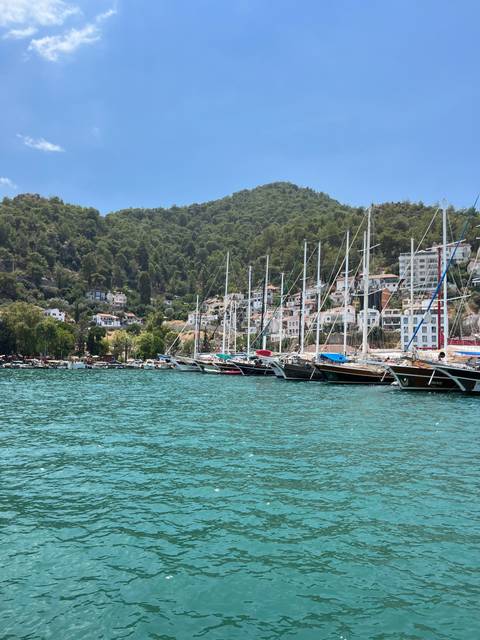       Boats docked in a harbor by a hillside town.
  
