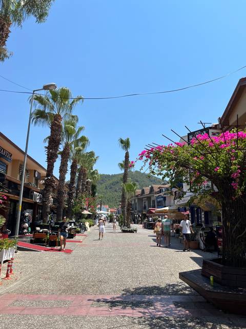       Street lined with palm trees and people walking around.
  