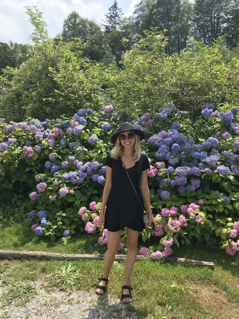       A person standing in front of vibrant hydrangeas.
  