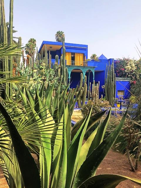       Majorelle Garden with exotic plants and a vibrant blue building.
  