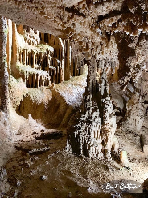       Small Group: Discover Serbia customer review photo 
  