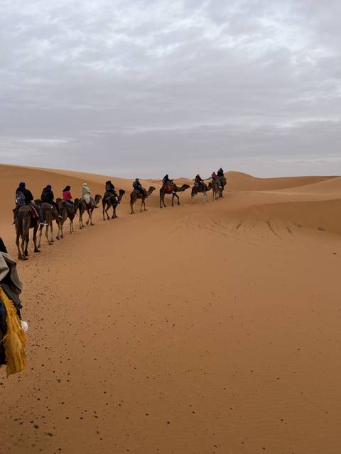       Camel caravan walking through the desert.
  