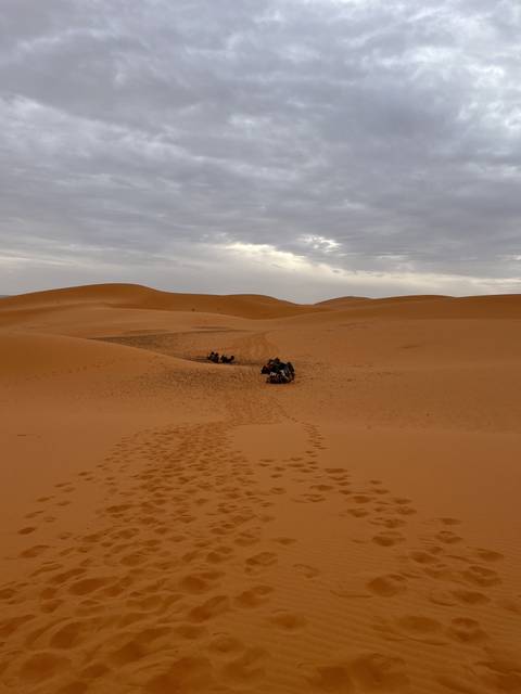       Camels and people walking through the desert.
  