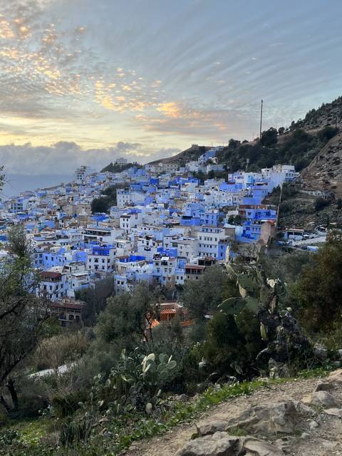       Blue cityscape on a hillside at sunset.
  