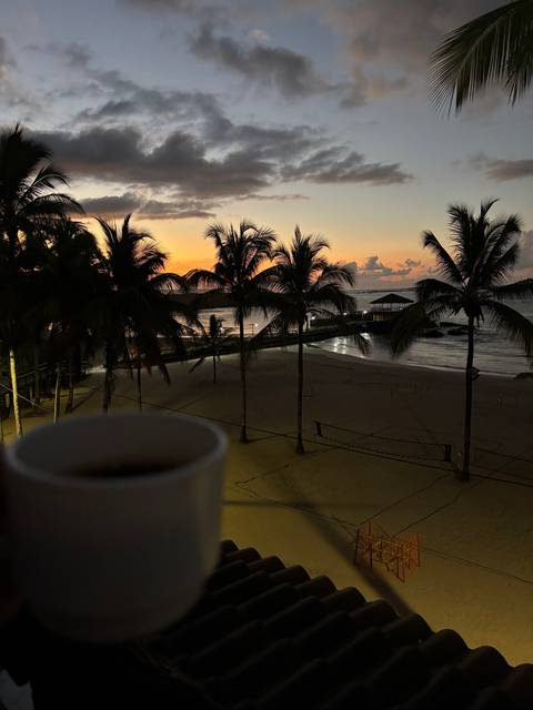 Sunset view with palm trees and a beach.