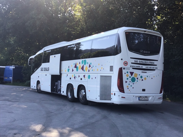 Tour bus parked in a forested area.