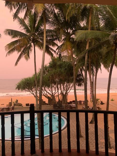 Tropical scene with palm trees and a pool at sunset.
