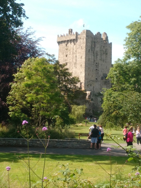       A castle with a large stone structure surrounded by trees and people walking around.
  