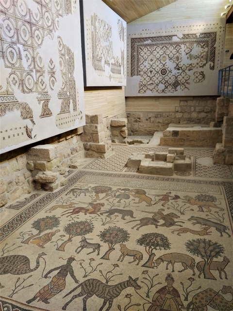 Ancient ruins with detailed mosaic flooring depicting animals and figures.