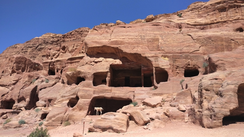 Caves and rock formations at Petra