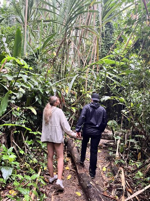 Two people walking in the jungle.