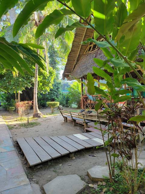 Pathway with tropical plants and a thatched building.